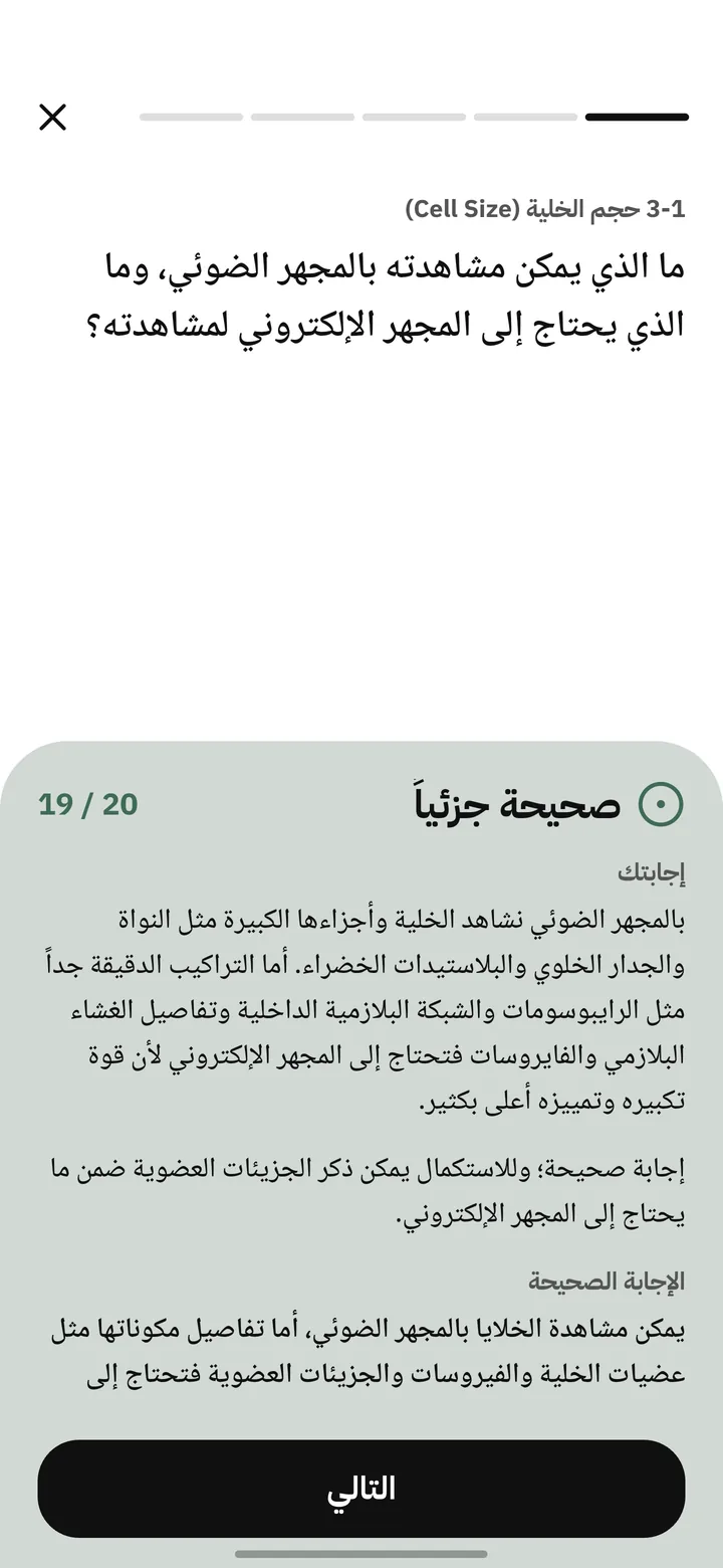 جواب مكتوب ينصحح بالحال: صحيحة جزئياً، 19 من 20